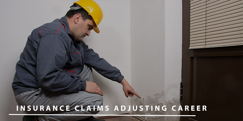 Insurance Claims Adjusting Career