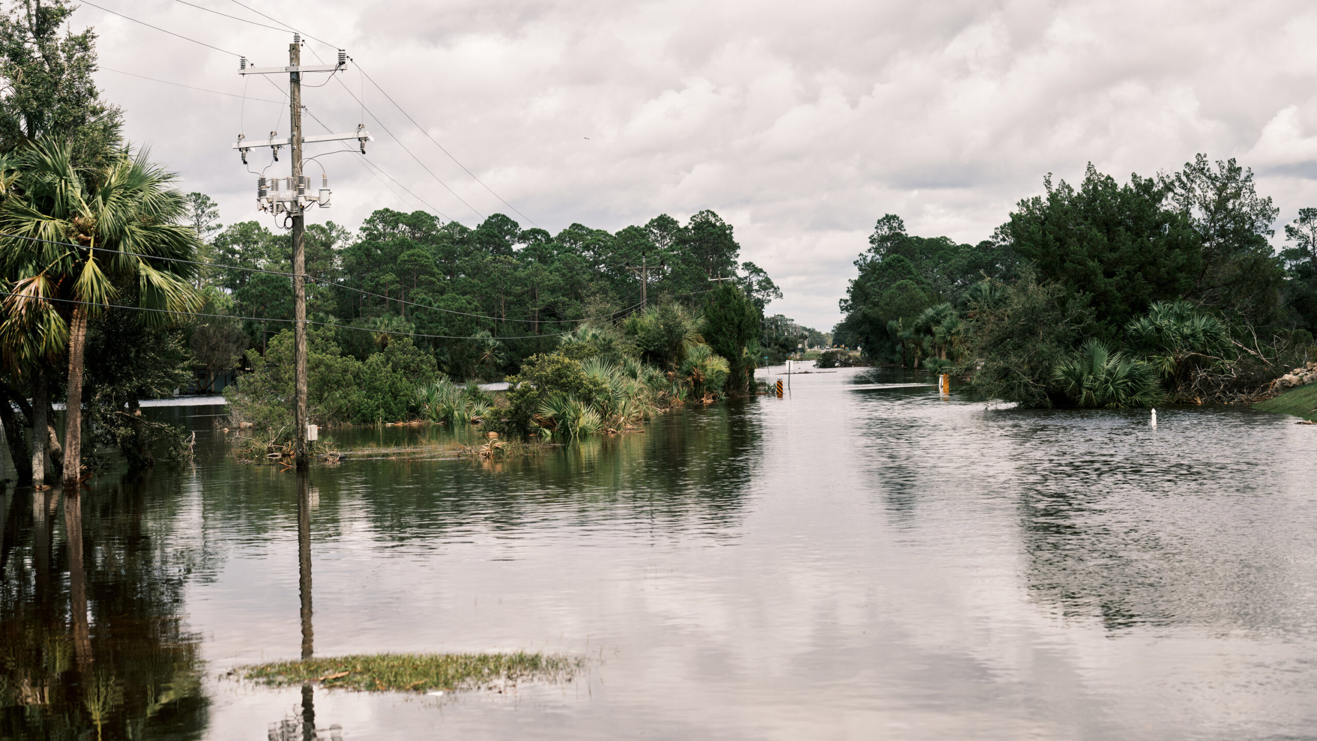 Hurricane Idalia Claims Adjuster